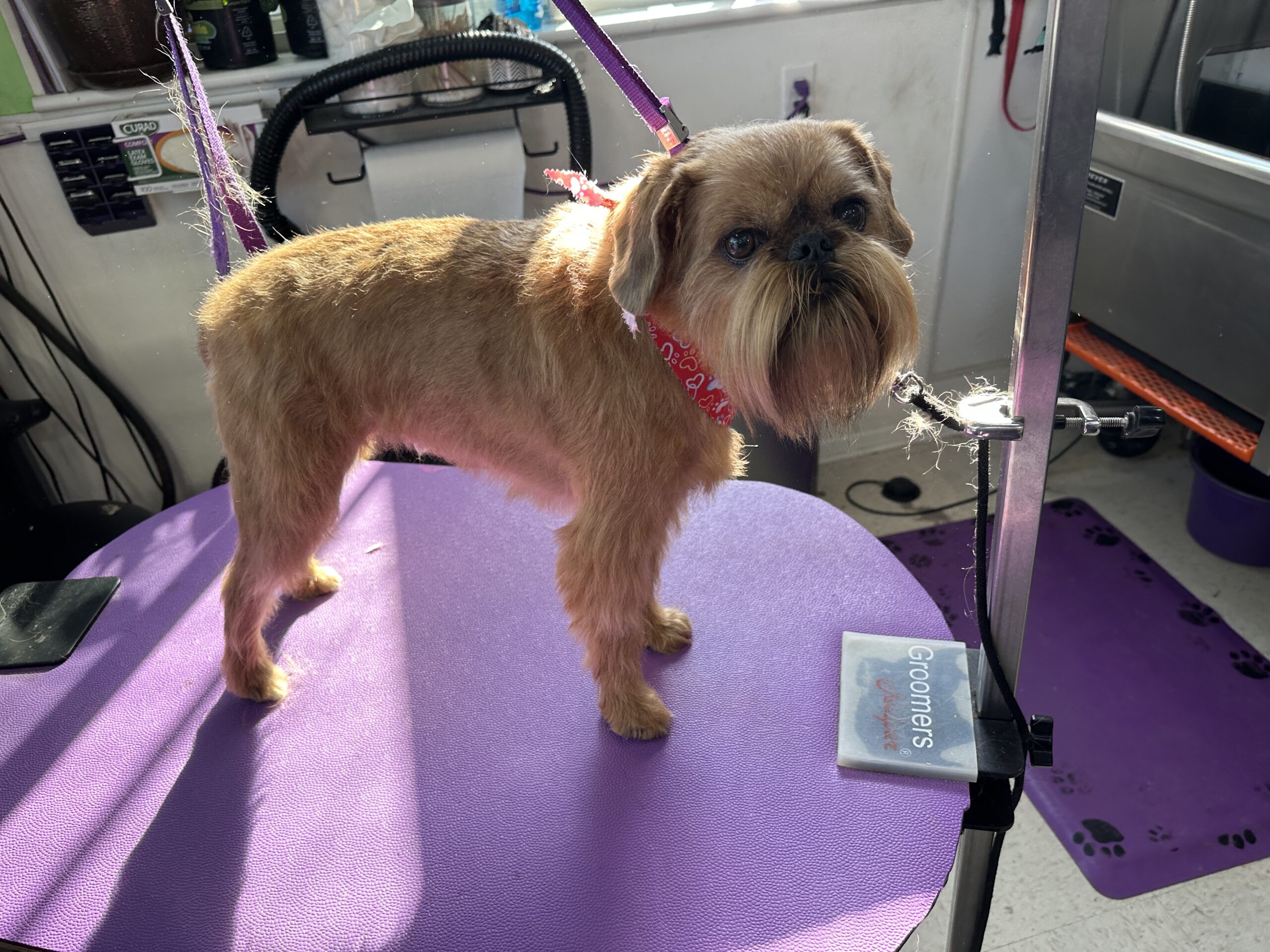 Rupert After