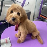 96F0F9D0-6C48-4B61-A311-C87E2DF1B923