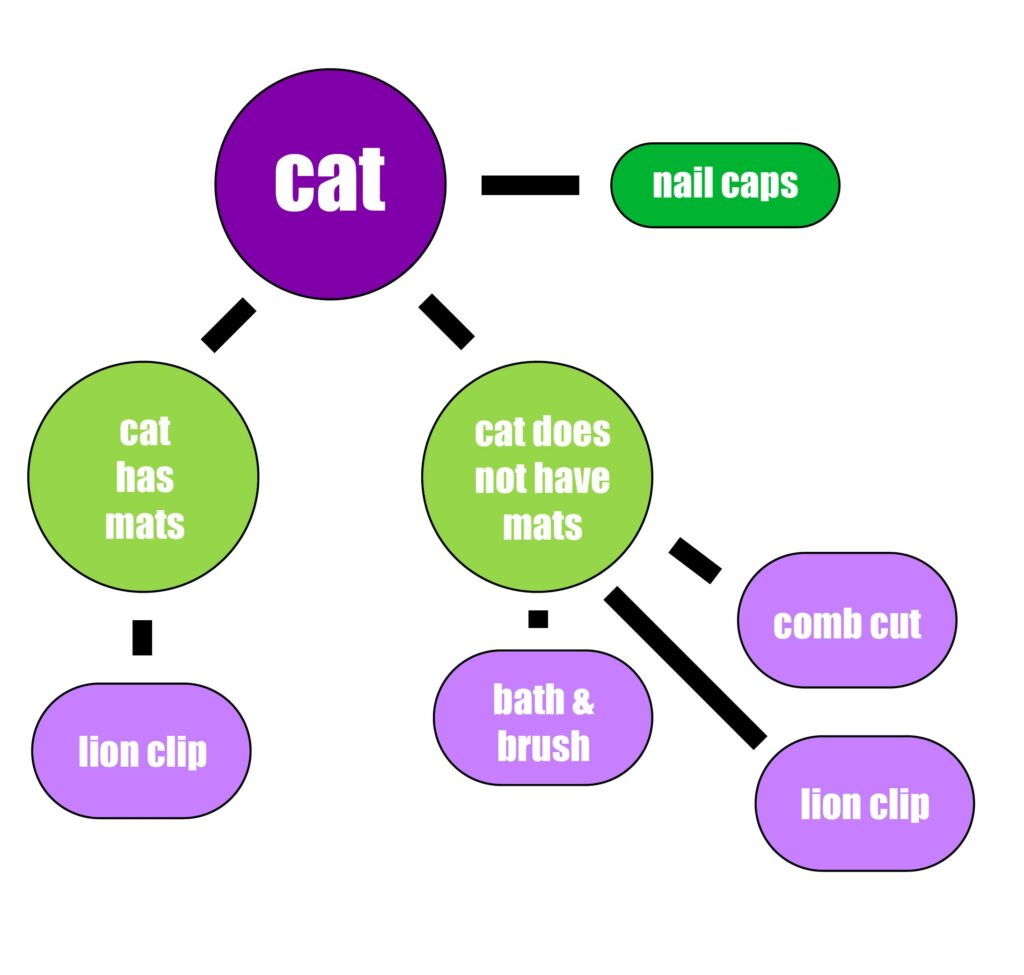 Cat flow chart