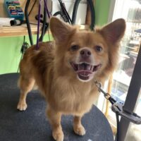 F7277781-F352-4E03-A2C4-C34F8F6C633B